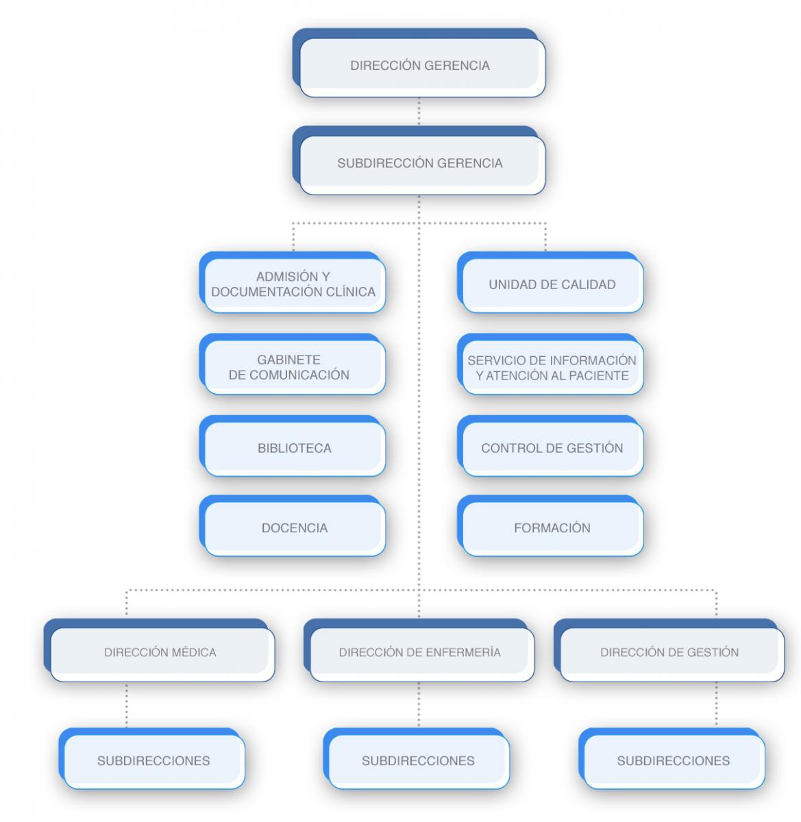 Organigrama Dirección Gerencia Primaria